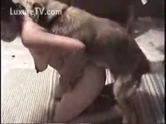 A dog's rod is eaten by a fat vagina.